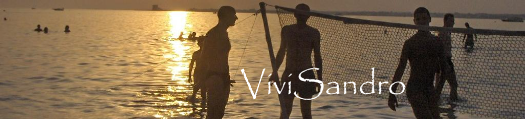 Vivisandro